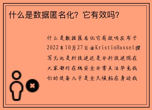什么是数据匿名化？它有效吗？