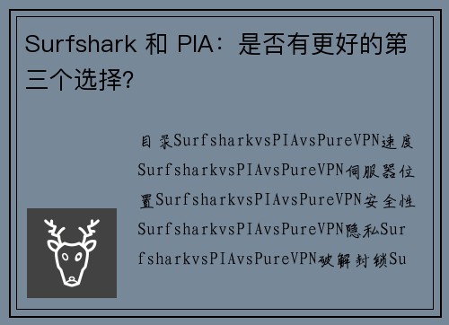 Surfshark 和 PIA：是否有更好的第三个选择？