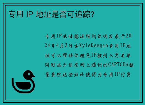 专用 IP 地址是否可追踪？
