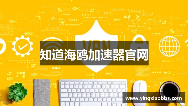 知道海鸥加速器官网